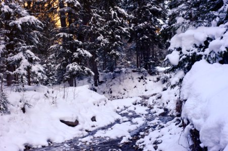 Icicle, Snowy, Stream