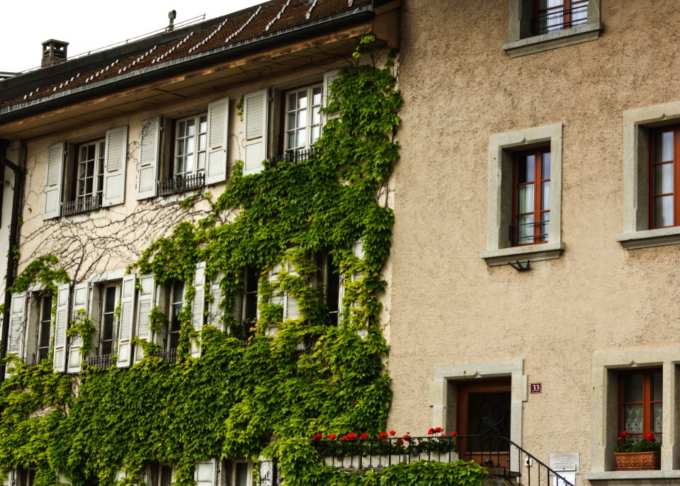 Gruyres, Switzerland, Window