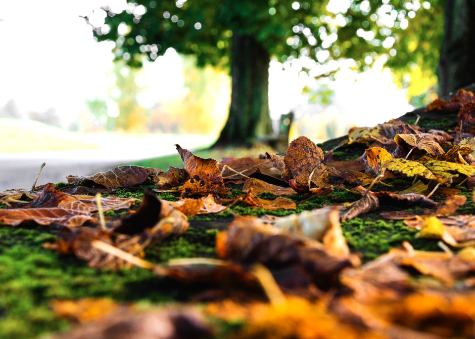 Payerne, Switzerland, Autumn