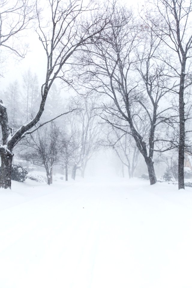 photography of snow-covered filed during daytime