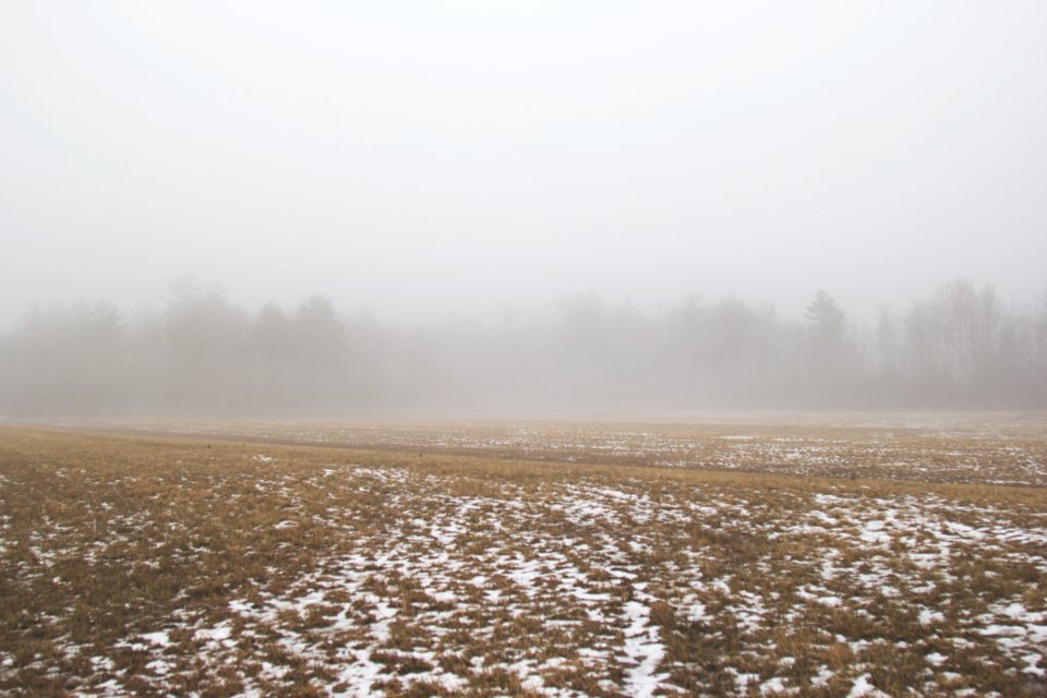 Grey, Nature, Weather