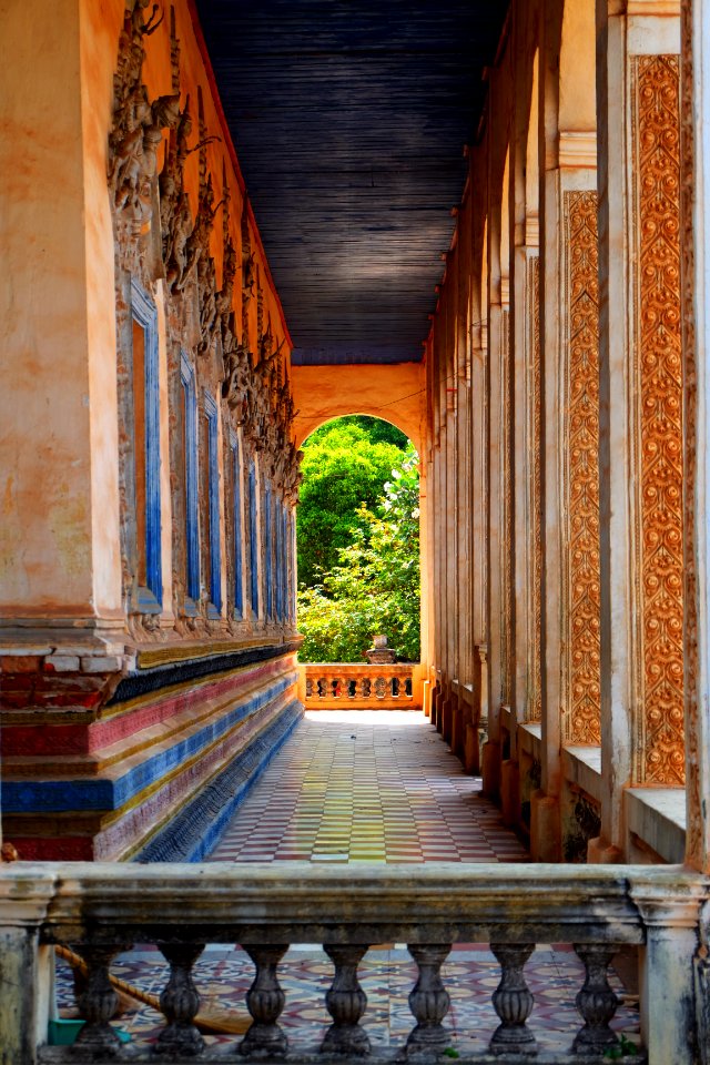 Cambodia, Krong siem reap, Trees