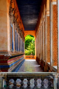 Cambodia, Krong siem reap, Trees photo