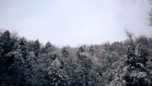 Fall creek falls state park, Spencer, United states