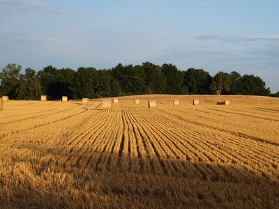 Agriculture round bales landscape photo