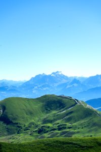 Switzerl, Grass, Green