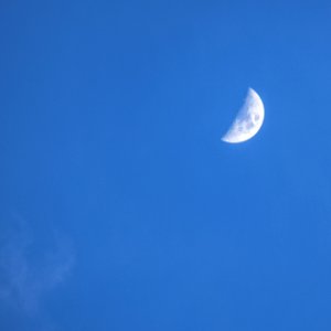 Blue, Univers, Sharp