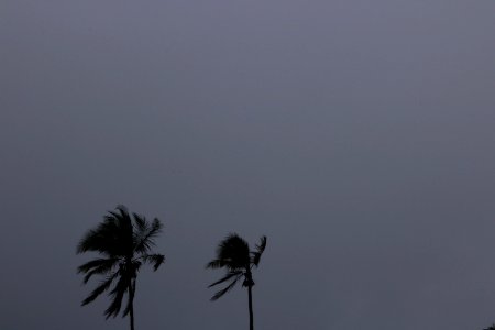 Sky, Shadow, Storm