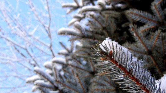 Michigan, Outdoors, Snow