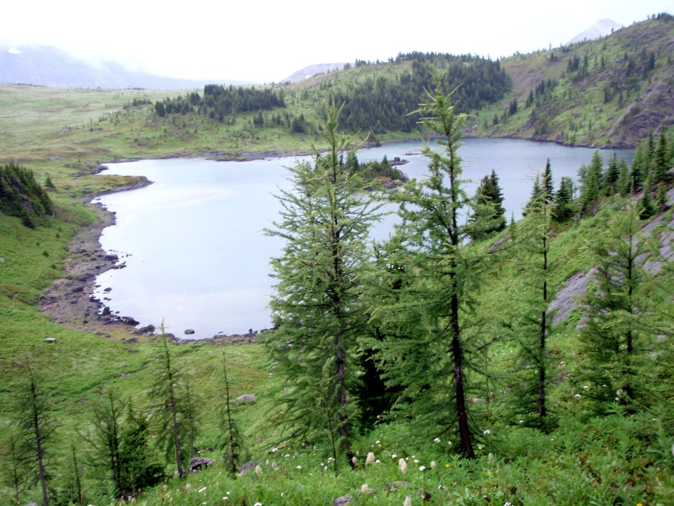 Meadow, Island, Lake