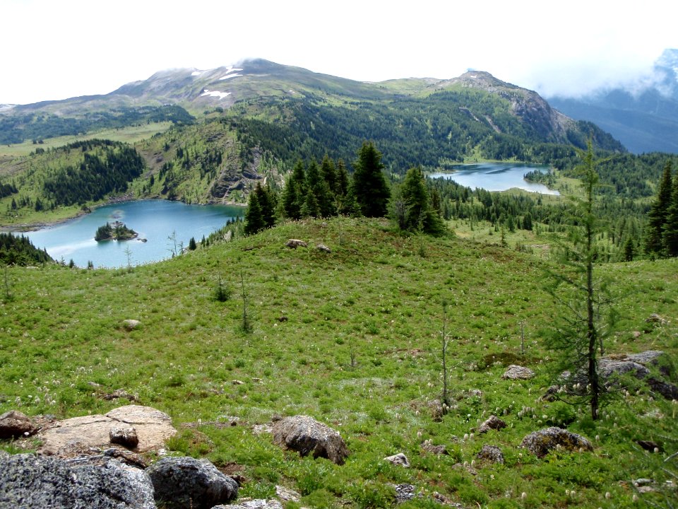 Nature, Mountaintrees, Isl