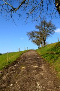 Germany, Farmroad, Path
