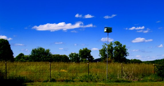 Murfreesboro, United states, Tennessee