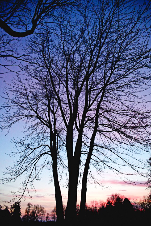 Dark, Winter, Fall