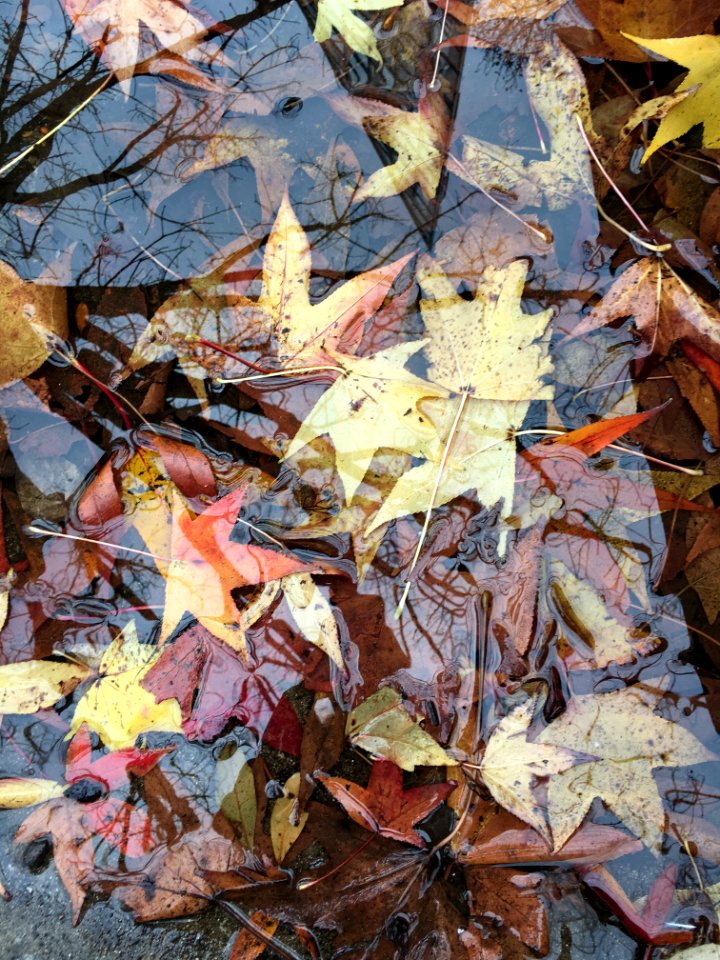 Chattanooga, United states, Colorful