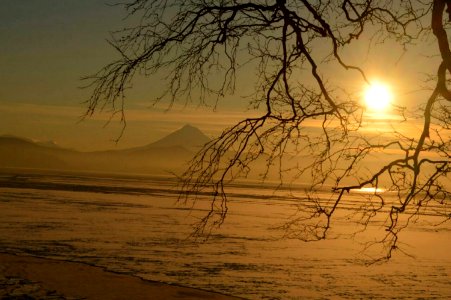 Petropavlovskkamchatskiy, Russia, Yellow photo