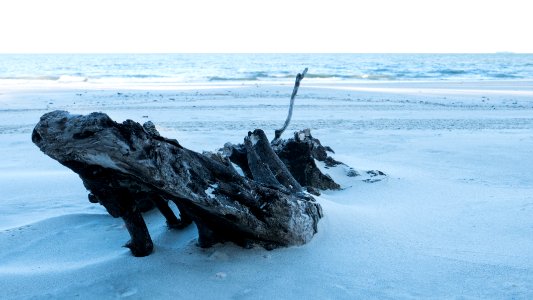 Daufuskie Island, United states, Blue photo