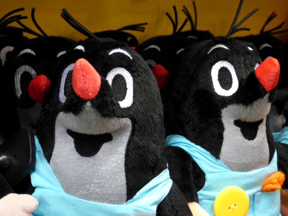 Teddy bear the mascot toys