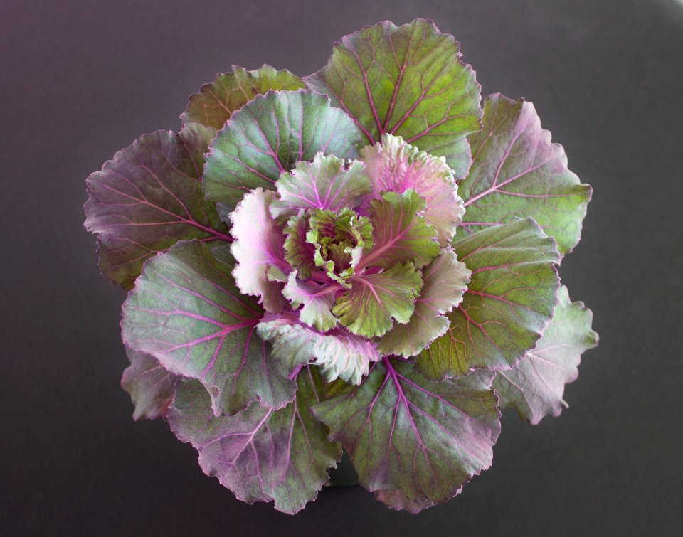 Greens, Healthy, Vegetable