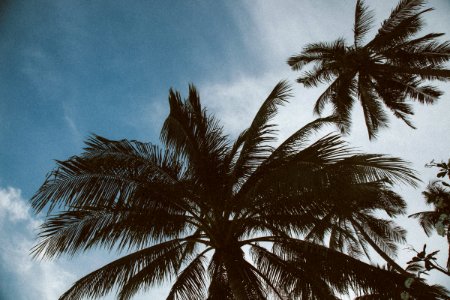 Sky, Beach, Tropical