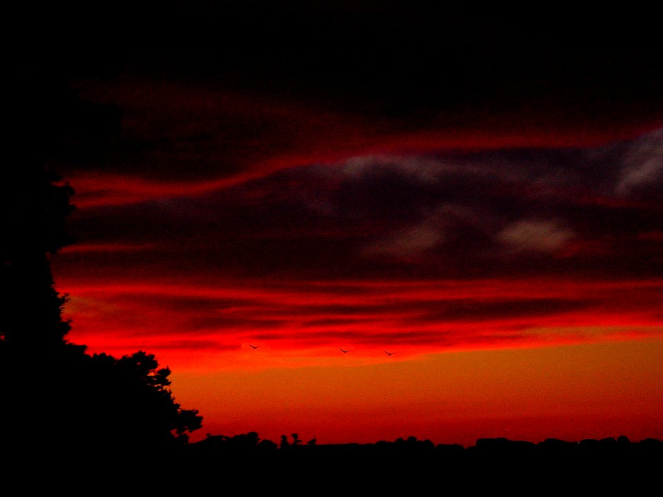 Sunset, Clear lake park, Orl