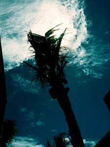 Cancn, Mexico, Hot