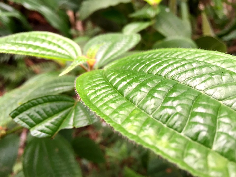 Zrich, Schweiz, Macro