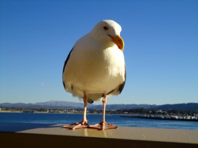 Monterey, United states, Sky