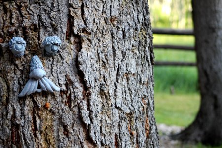 Oakley, United states, Tree