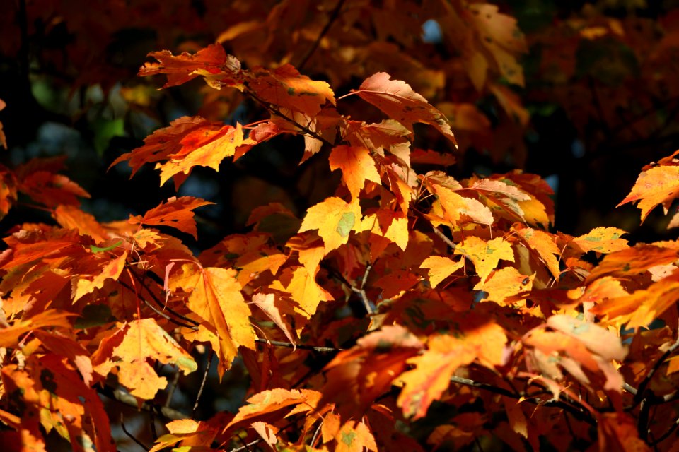 Lookout mountain, Point park road, United states