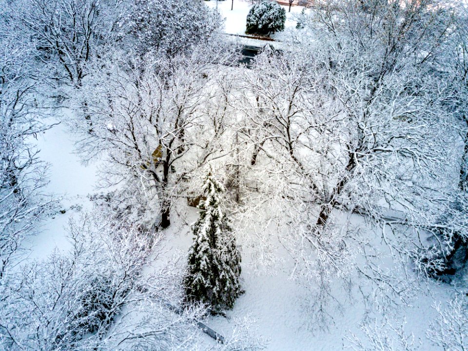 Forest, Minnesota, Frost