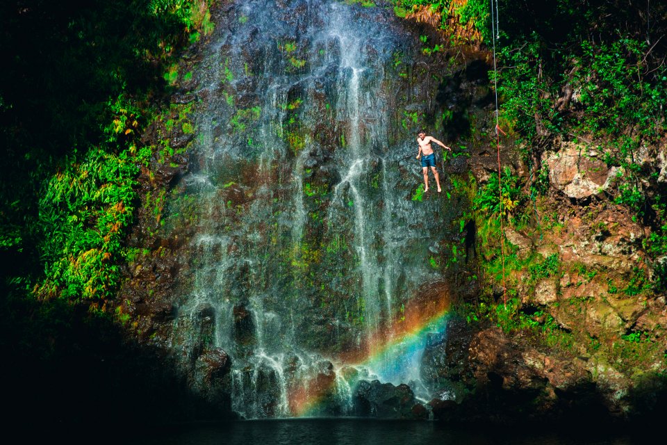 scenery of waterfalls with trees