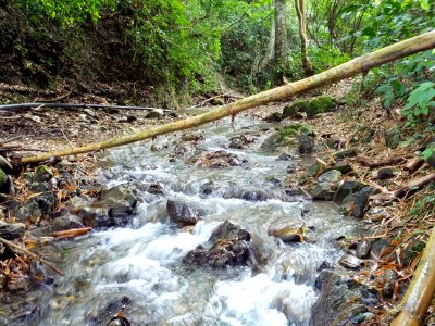 Cabudare, Venezuela photo