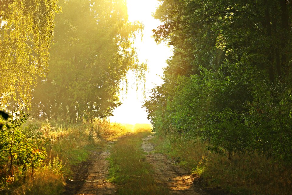 Lane mood landscape photo