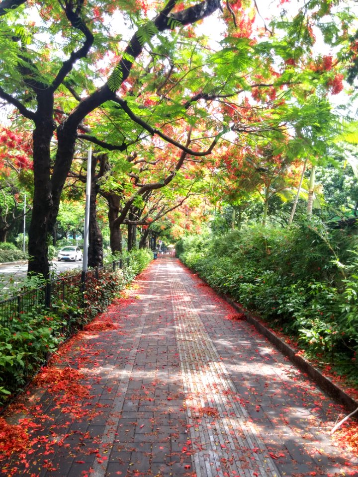 Shenzhen, China