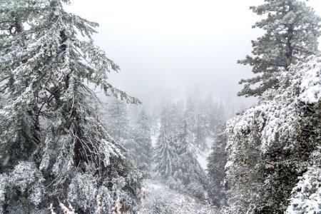 Mount baldy, United states, Trail