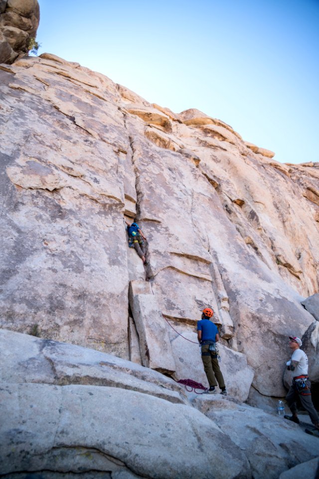 Joshua tree, United states, Joshua