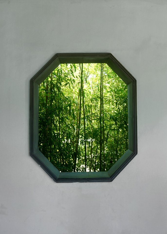 Garden expo park, China, Bamboo