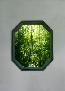 Garden expo park, China, Bamboo