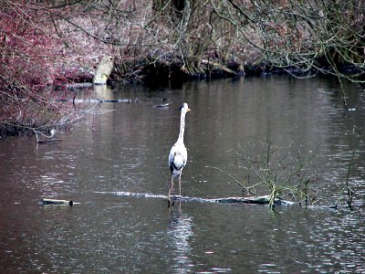 Hamburg, Alsterw, Erweg