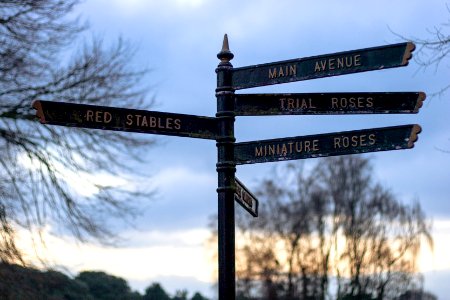 Saint annes park, Dublin, Irel photo