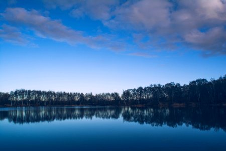 body of water surrounded with trees photo