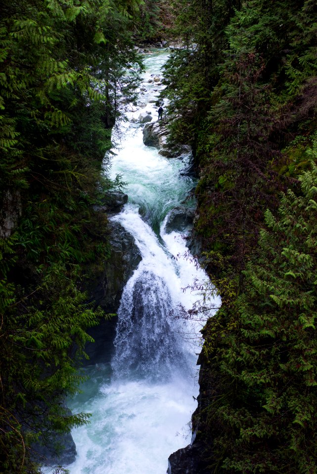 Lynn canyon, Canada, North vancouver