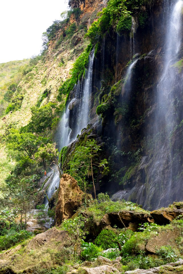 Mexico, El ocote natural park, Forest