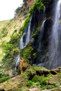 Mexico, El ocote natural park, Forest