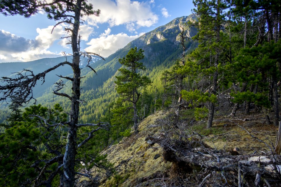 Nature, Pierce mountain, United states