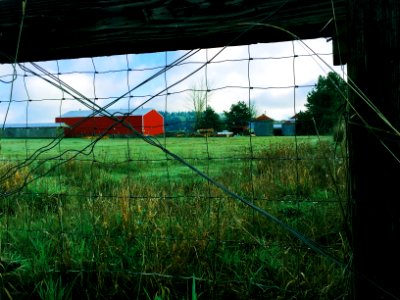 America, Barn, Dew