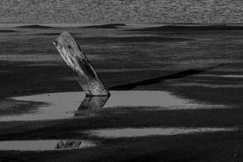 Water, Wood, Riverside