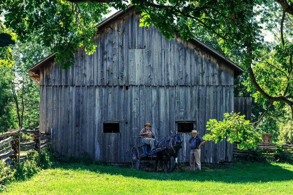 Barn, Horse, Farm photo