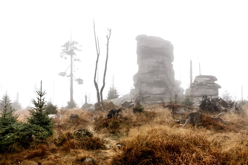 Dreisesselberg, Pleckensteiner wald, Deutschl